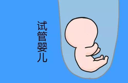 陈主任